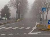 PAVIA. blocco auto pressoché inutile restano invariati problemi della viabilità.