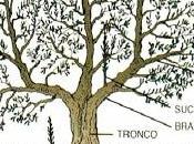 Perché conoscere proprietari paesaggio agrario Salento leccese buone pratiche agricole