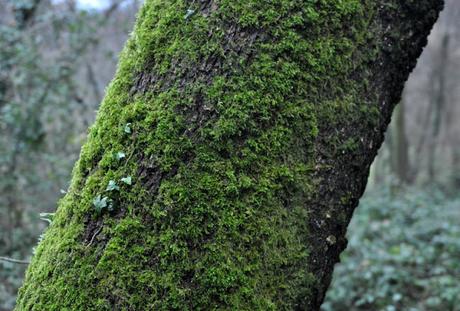 FOTOCRONACA MINIMA RECENTE - l'inizio dell'anno che viene