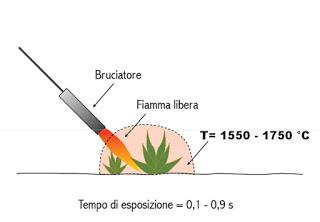 Buone pratiche agricole per il controllo delle erbe spontanee