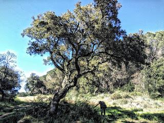 2015: un anno di immagini