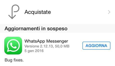 WhatsApp iOS – Arriva un nuovo aggiornamento che porta alcune correzzioni di bug [Aggiornato x9 Vers. 2.12.13]