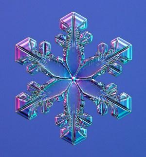 Le meraviglie dei cristalli di ghiaccio