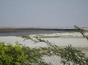 Bhavnagar