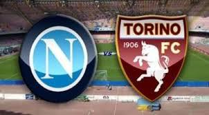 Napoli vs Torino 2 1 Goal e highlights Serie A 6/1/2016