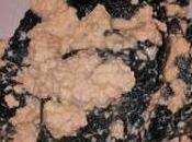 Ravioli neri salmone