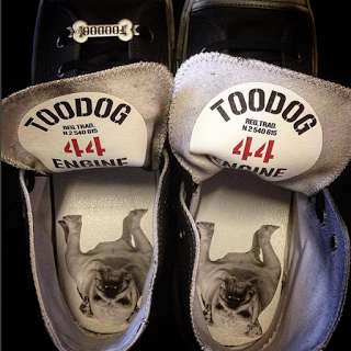 Toodog e le sneakers Animal Friendly