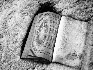 Un libro nella neve