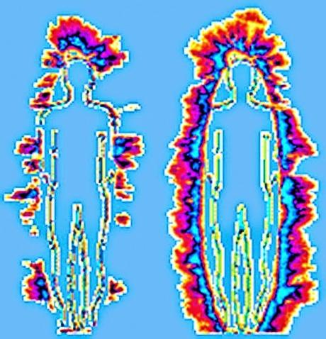 Dualismo dell'aura etica