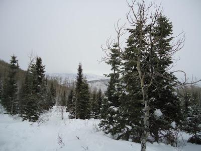 Saluti da Deer Valley, Utah