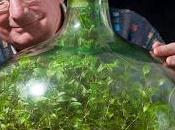 ecosistema chiuso completamente indipendente David Latimer 1960