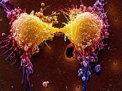 MODENA. linee guida trattamento dolore cancro moderato ridiscusse studio modenese.