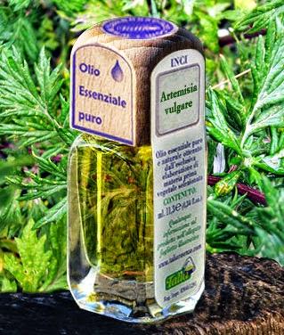 Gli oli essenziali di artemisia e canapa sativa proteggono milza e pelle