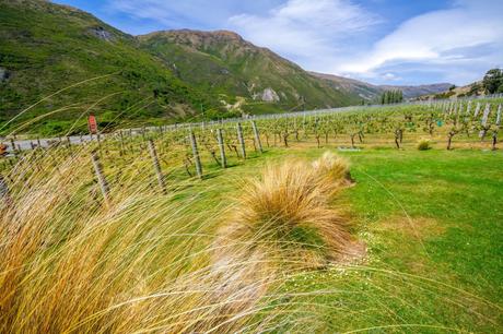 Queenstown – Te Anau: i primi passi in Nuova Zelanda