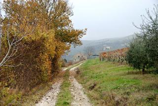 Barbecue a dicembre. Villa Moltini e le colline picene