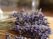 Aceto lavanda detergente ecologico date