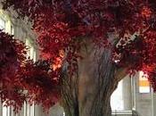 Atlantic porta alla Stazione Centrale Eterea, l'albero simbolo Shannara