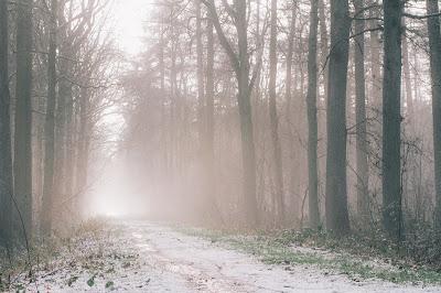 10 Cittá da visitare in inverno