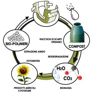 Ciclo_pannolino1
