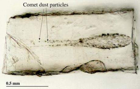 Novità dalla missione Stardust: ricostruite in 3D le tracce lasciate dalla cometa Wild 2