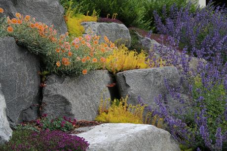 Il giardino roccioso asciutto (su Houzz)