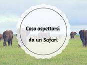 Cosa aspettarsi safari