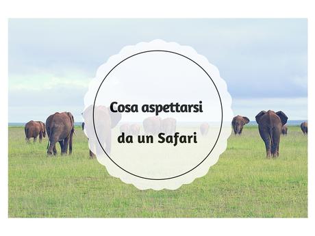 Cosa aspettarsi da un safari