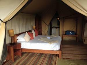 Dove dormire nei Parchi del Nord del Kenya Lewa Safari camp tenda