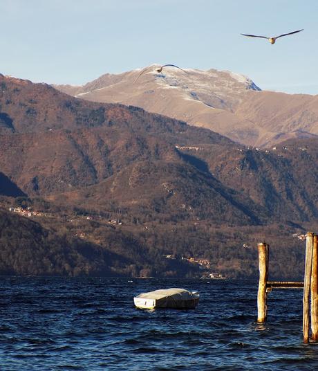 Orta San Giulio (NO)