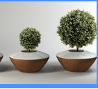 ORGANIZZARE IL PROPRIO FUTURO