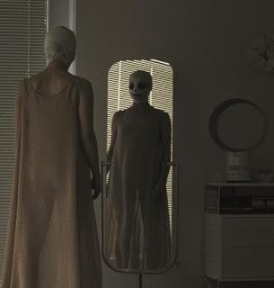 Goodnight Mommy (Ich seh, Ich seh, di Veronika Franz e Severin Fiala, 2015)