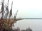 Saline Sicciole: bianco nella natura della Slovenia