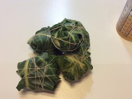 I “CAPÙ” FAGOTTINI DI COSTE RIPIENI