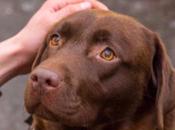 Nella pratica sapevamo