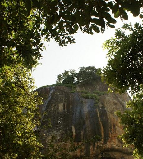 Le rovine del palazzo reale di Sigiriya, il buddha di Avukana e il lago di Kala Wewa. Viaggio in Sri Lanka