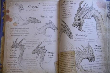libro sui draghi