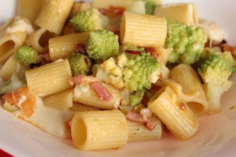 Mezze maniche con broccolo romanesco, pancetta e taleggio