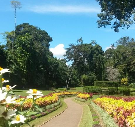 Kandy e dintorni tra templi, laghi e piantagioni di tè. Viaggio in Sri Lanka