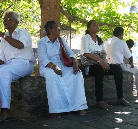 Kandy e dintorni tra templi, laghi e piantagioni di tè. Viaggio in Sri Lanka