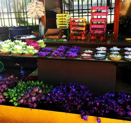 Kandy e dintorni tra templi, laghi e piantagioni di tè. Viaggio in Sri Lanka