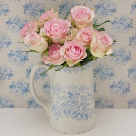 In Svezia a casa di Anna