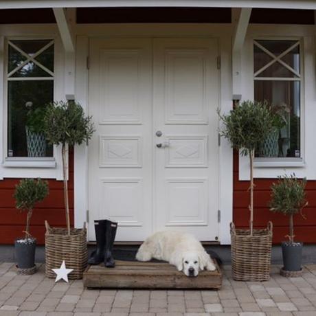 In Svezia a casa di Anna