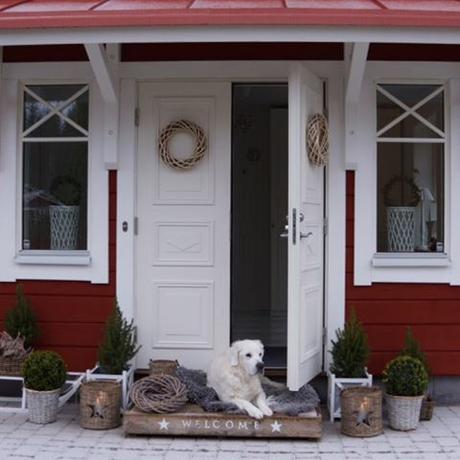 In Svezia a casa di Anna