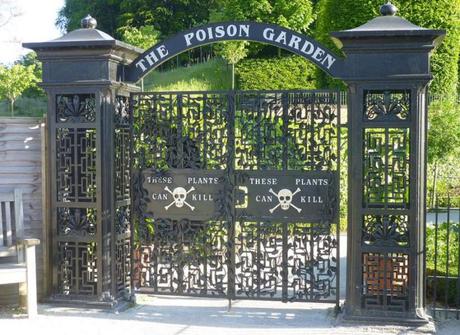 Poison_garden_4