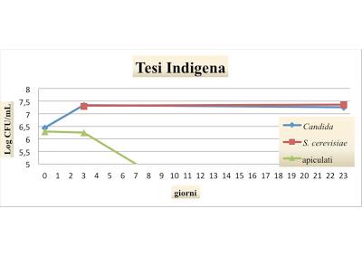 Fermentazioni spontanee a La Distesa: una tesi di laurea