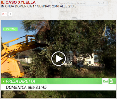 Il caso Xylella Presa diretta: processo alla scienza o ai furbetti dell'agricoltura?