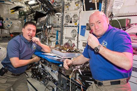 Gli astronauti della NASA Scott Kelly e Kjell Lindgren con le piante raccolte per le indagini VEG-01. Crediti: NASA