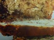 plumcake cioccolato