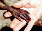 Anime povere ricche!