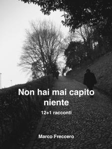 Non c’è mai fine al peggio! Marco Freccero intervista Marco Freccero copertina racconti Non hai mai capito niente
